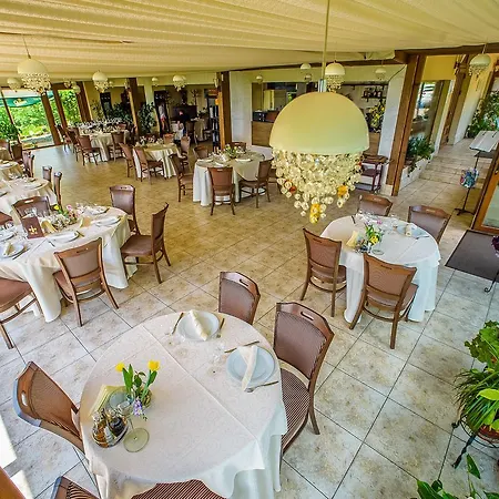 Gasthof Panoramic Cetatuie