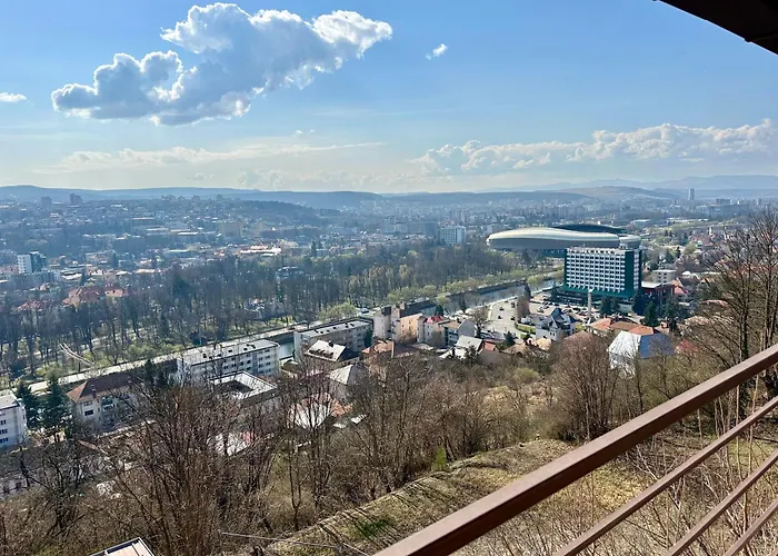 Panoramic Cetatuie Гостевой дом 3*