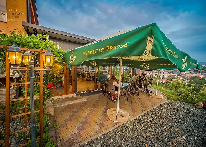 Гостевой дом Panoramic Cetatuie 3*